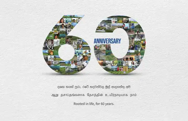 CIC 60th Anniversary logo